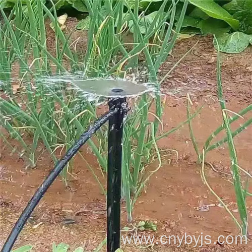 Fruit tree vortex micro nozzle